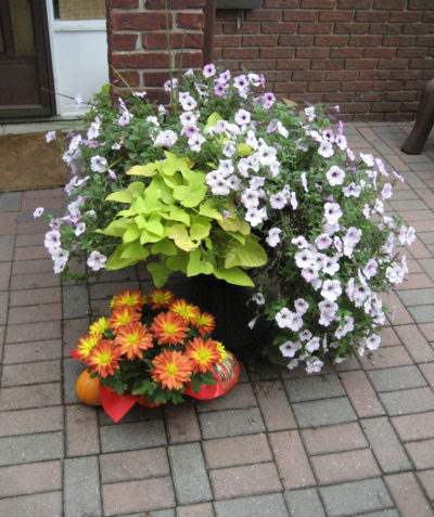 Garden Urns, Planters