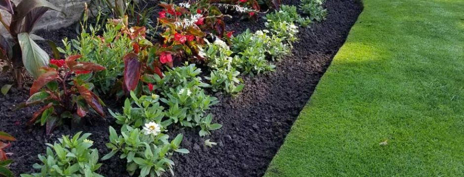 Garden Maintenance by Gardens by Kate