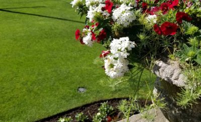 Custom Seasonal Garden Urn by Kate