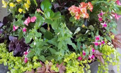 Custom Seasonal Garden Urn by Kate