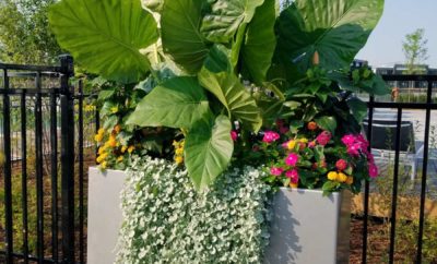 Custom Seasonal Garden Urn by Kate