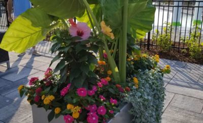 Custom Seasonal Garden Urn by Kate