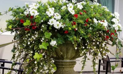 Custom Seasonal Garden Urn by Kate