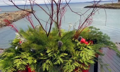 Custom Seasonal Garden Urn by Kate