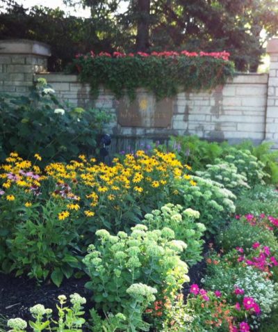 Garden Maintenance by Gardens by Kate