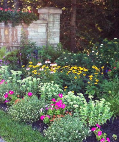 Garden Maintenance by Gardens by Kate