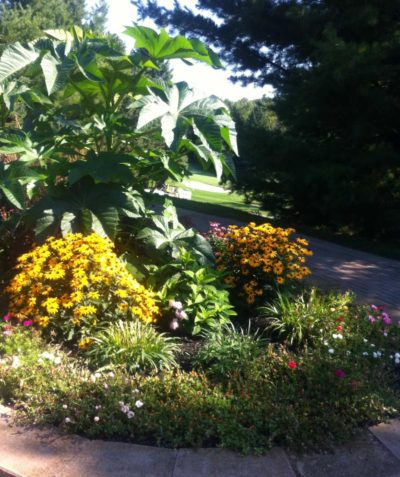 Garden Maintenance by Gardens by Kate