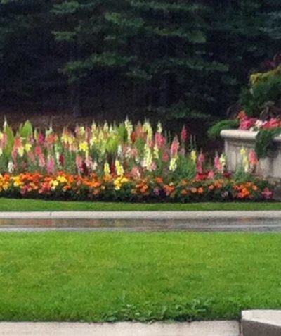 Garden Maintenance by Gardens by Kate