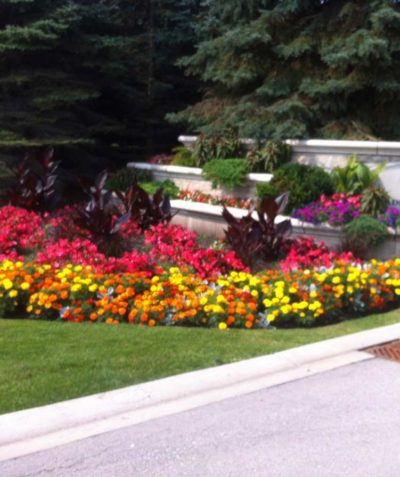 Garden Maintenance by Gardens by Kate