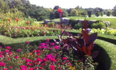 Garden Maintenance by Gardens by Kate