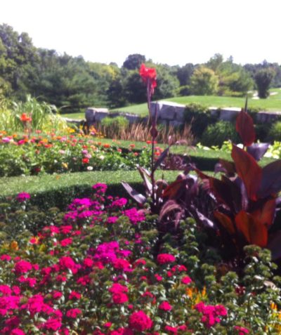 Garden Maintenance by Gardens by Kate