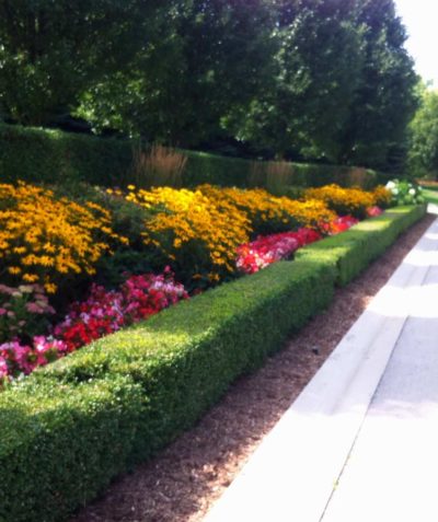 Garden Maintenance by Gardens by Kate