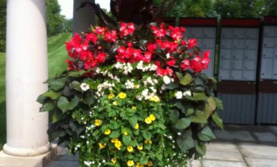 Custom Seasonal Garden Urn by Kate